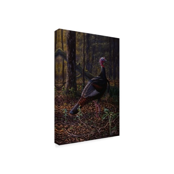 Wilhelm Goebel 'Ever Alert Wild Turkey' Canvas Art,16x24